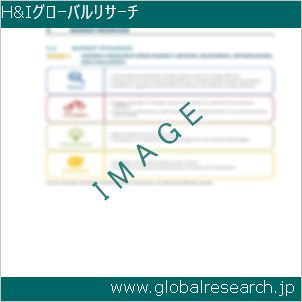 グローバルリサーチ調査レポートのイメージ